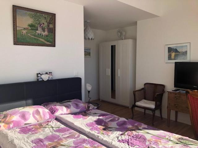 La Maison Des Copains Bed and breakfast Blonay