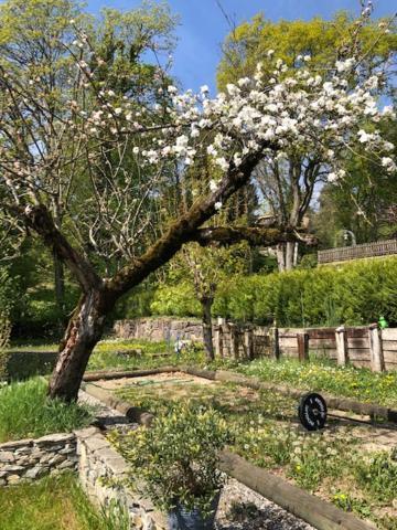 La Maison Des Copains Bed and breakfast Blonay